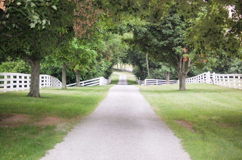 Finished Rock Pathway